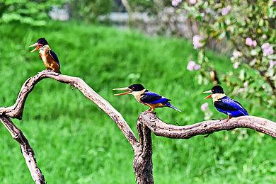 2022暑期高能电玩节：《浮生箓2：九九行歌》上线试玩版